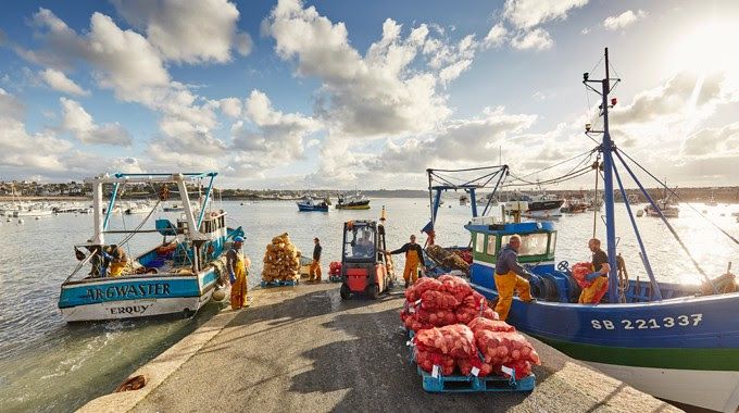 Image de diapositive