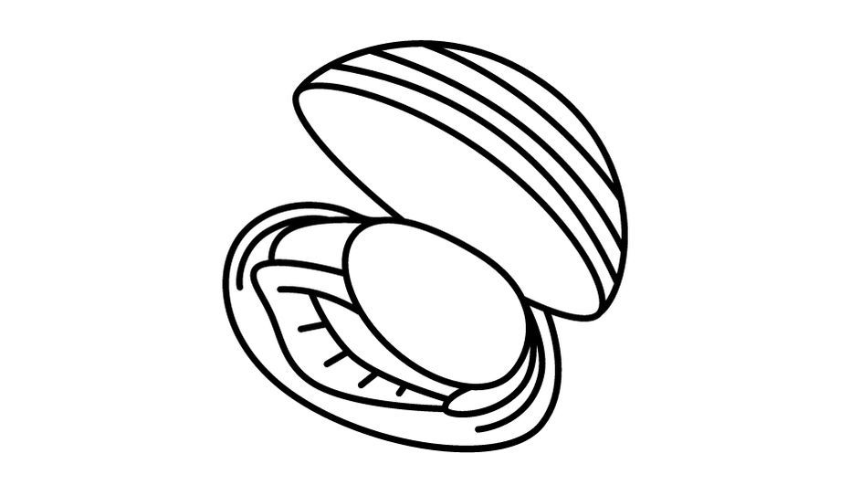 Odoo- Echantillon n° 3 pour trois colonnes