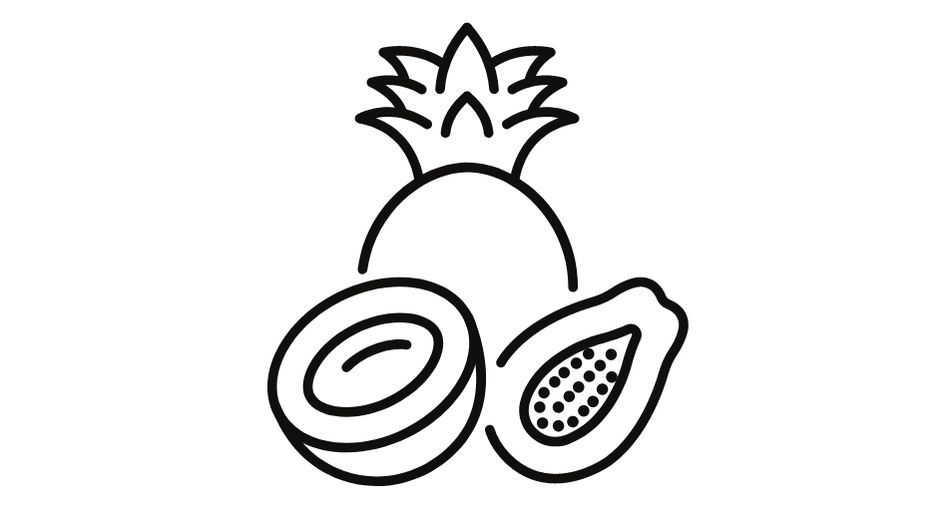 Odoo- Echantillon n° 3 pour trois colonnes