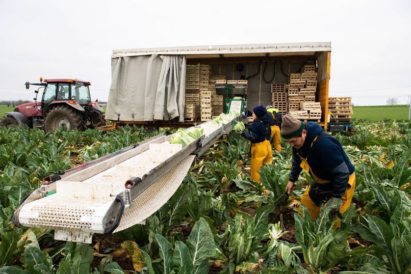 Image de diapositive