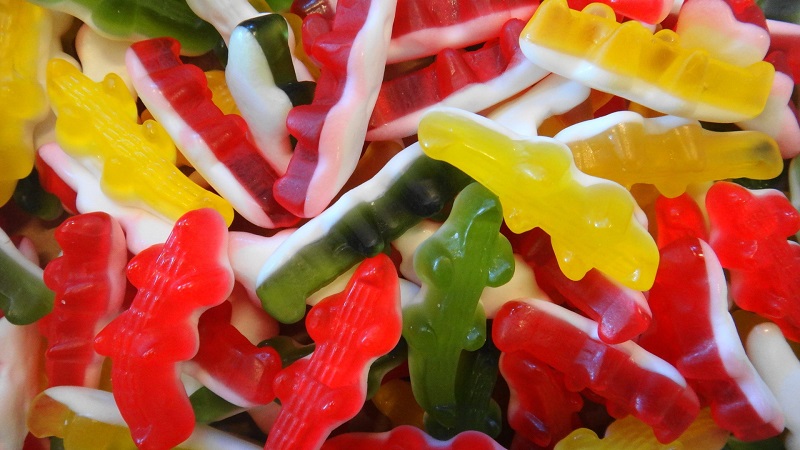 Bonbons crocodile bio