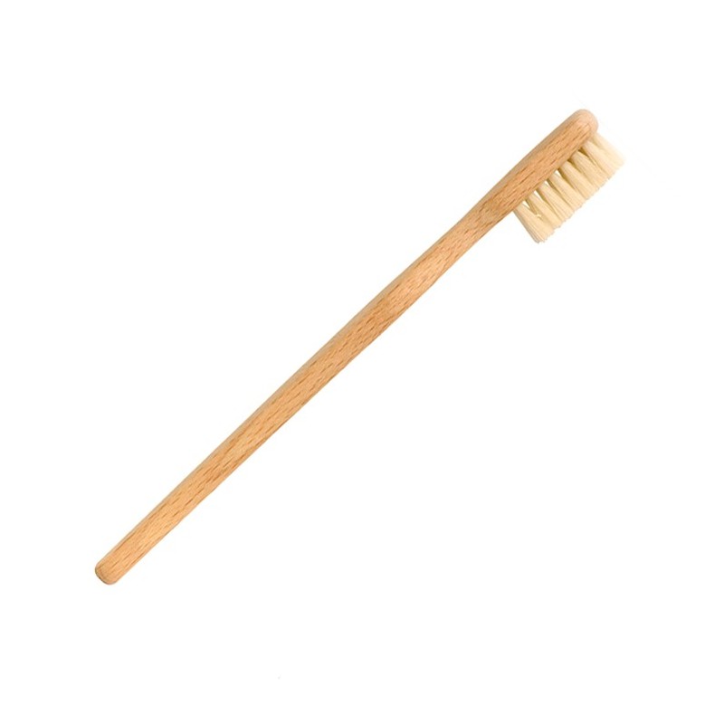 Brosse à dents 