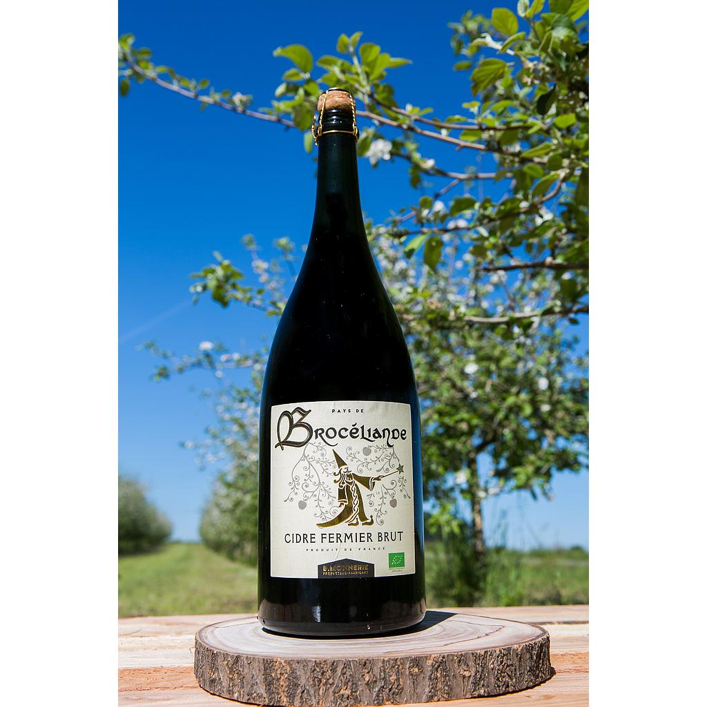 Cidre brut magnum 1.5 l