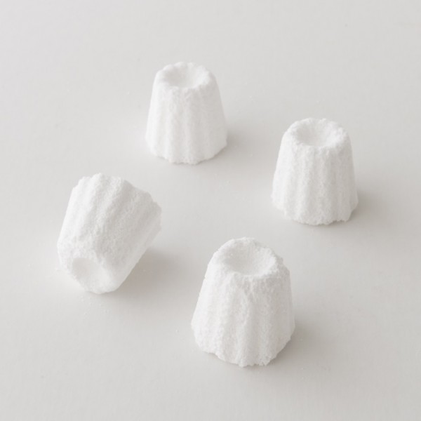 Pastille wc effervescentes