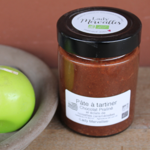 Pâte a tartiner 250g lady merveille