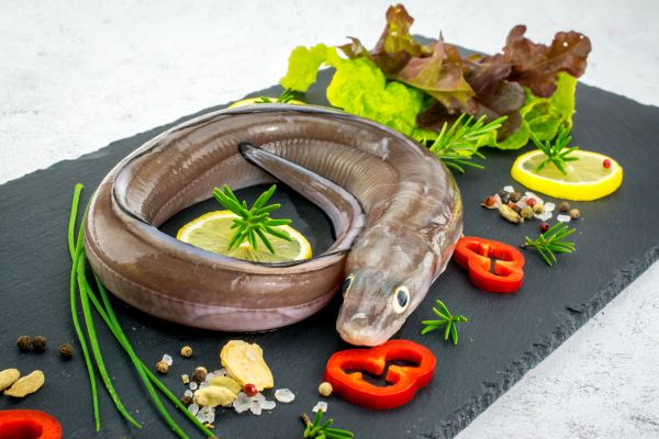 Congre a la coupe 100g