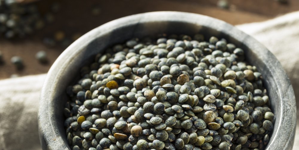 Lentille verte   100g