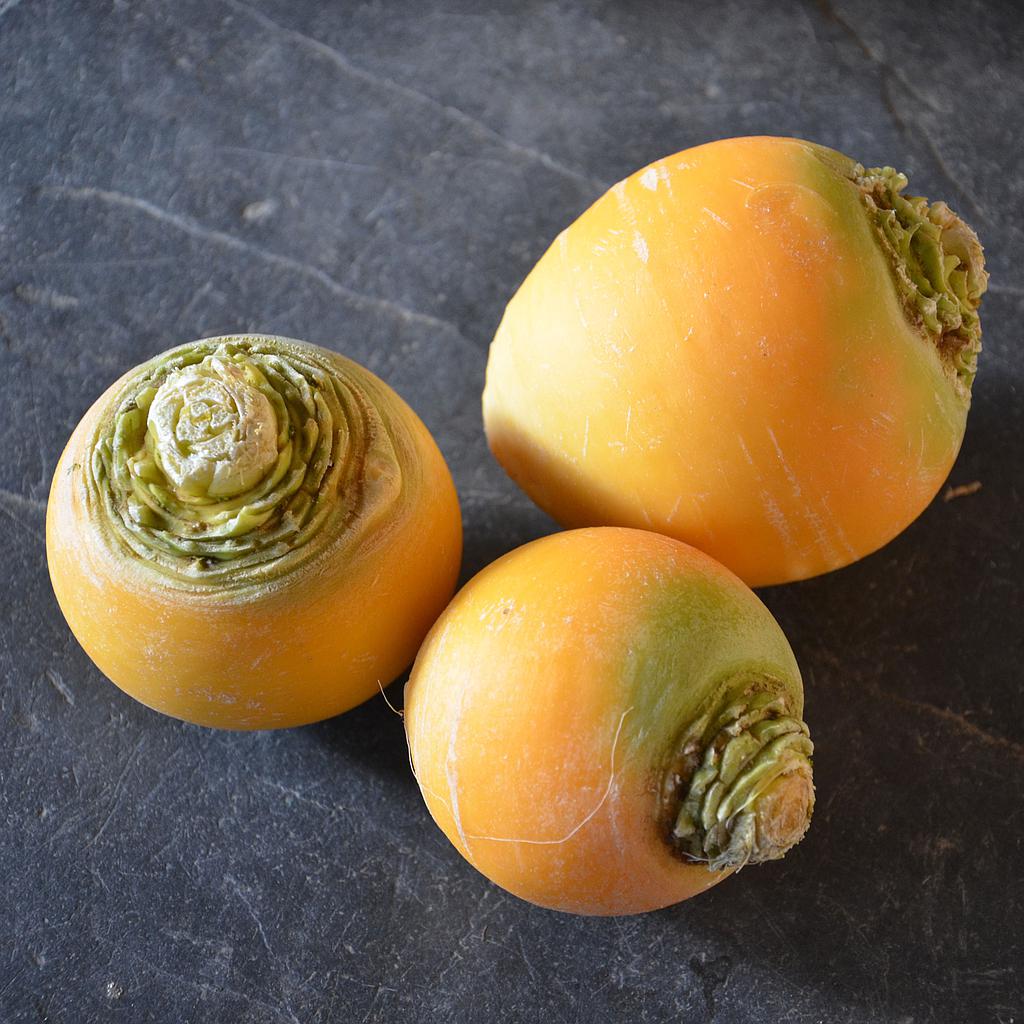 Navet boule d'or 100g