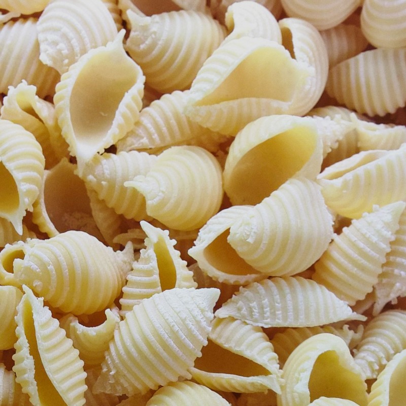 Pâtes Conchiglie nature  100g