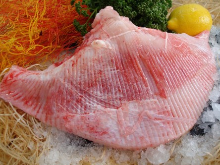 Aile de raie 100g