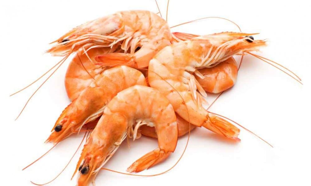 Crevette rose 40/60 100g