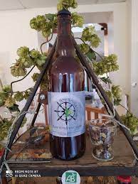 biere au algue 33cl tien bon la barre