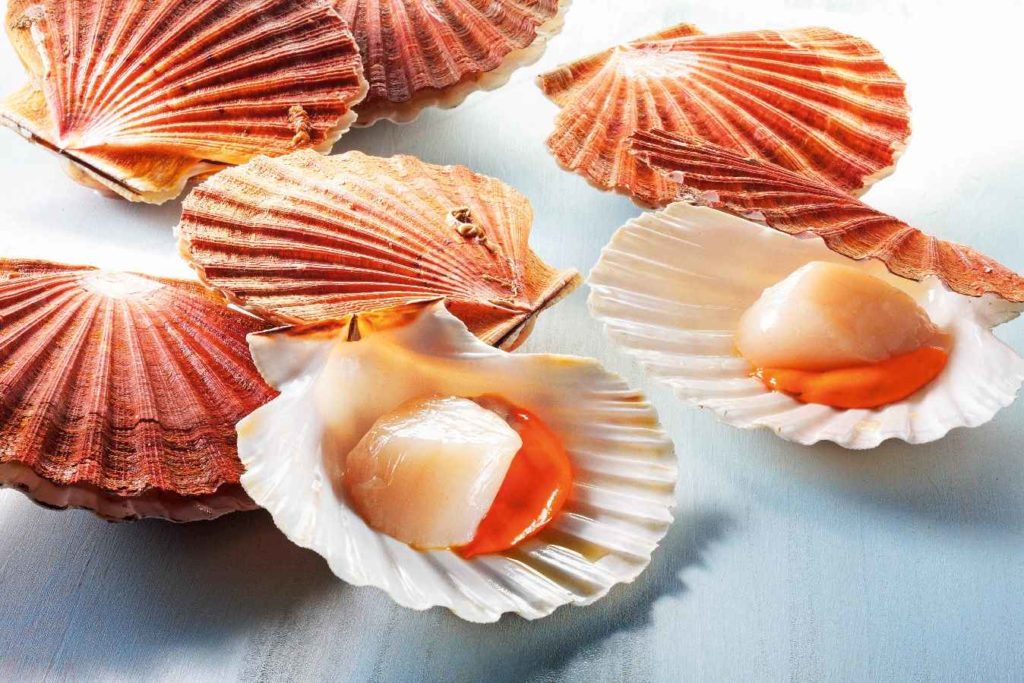 coquille st jacque 100g