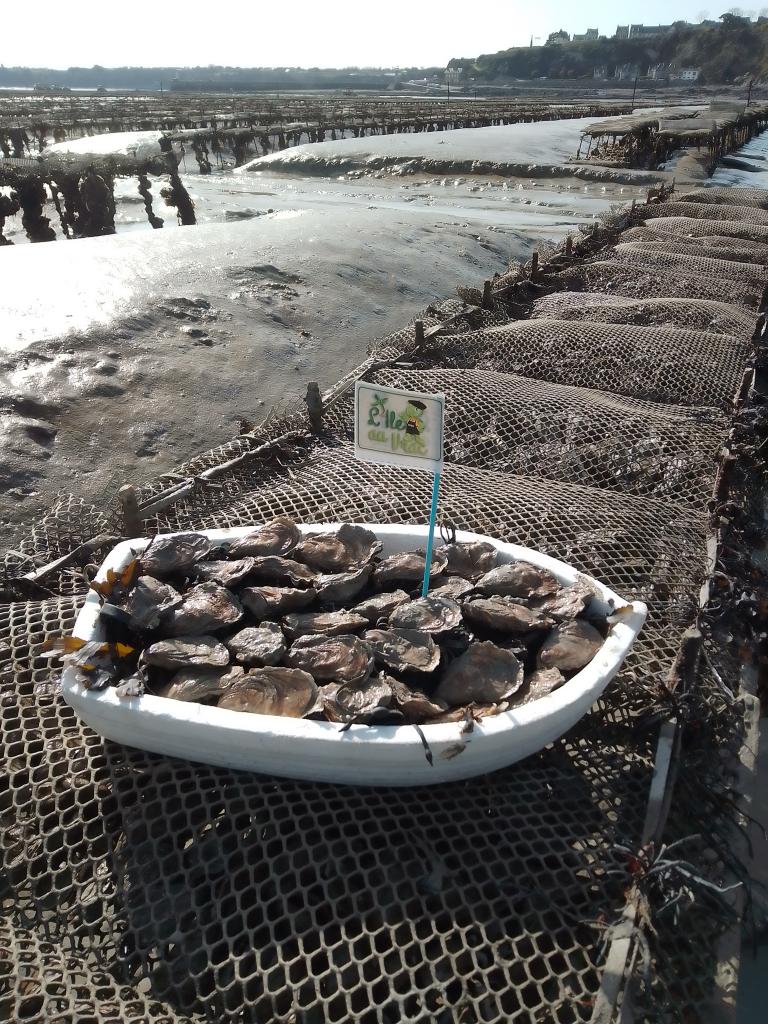 huitres de cancale n 3 100g