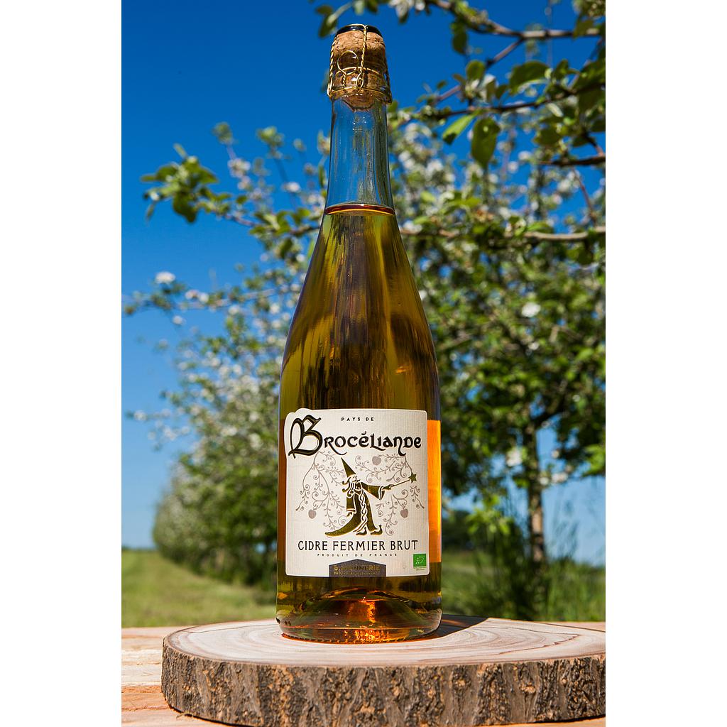 Cidre brut 37.5l