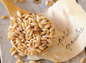 Petit epeautre graines concasse