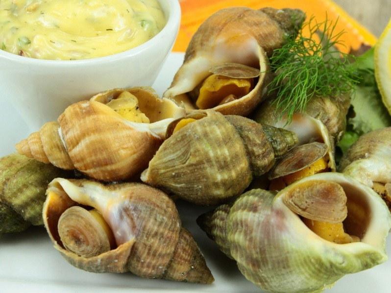 Bulot cuits 