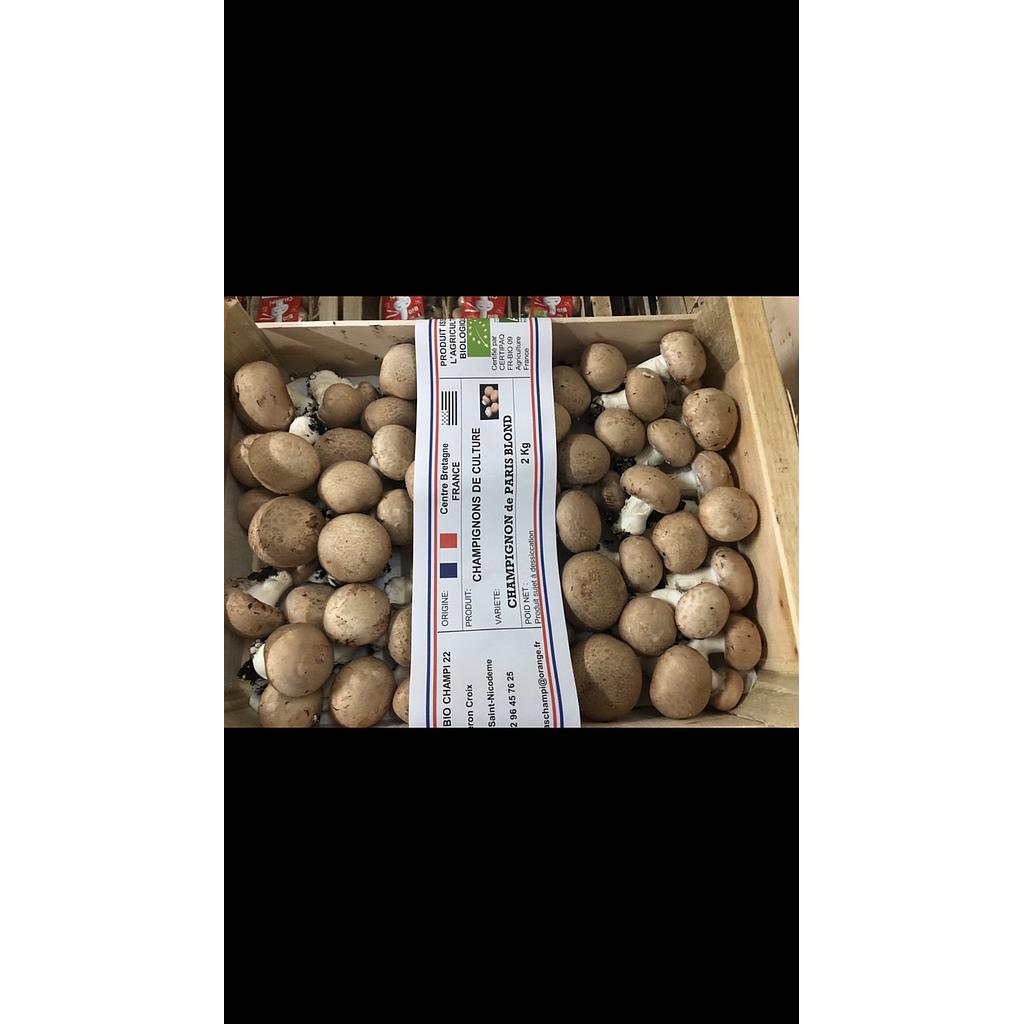 Champignon blond bio 