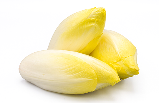 Endive 