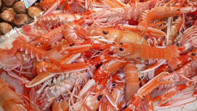 Langoustine vivante n 3