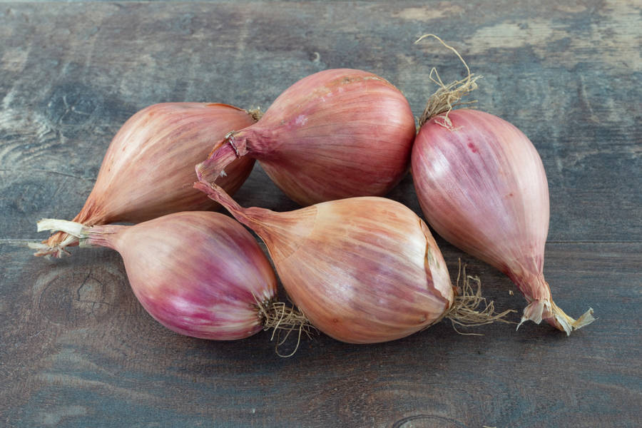 oignon rose 