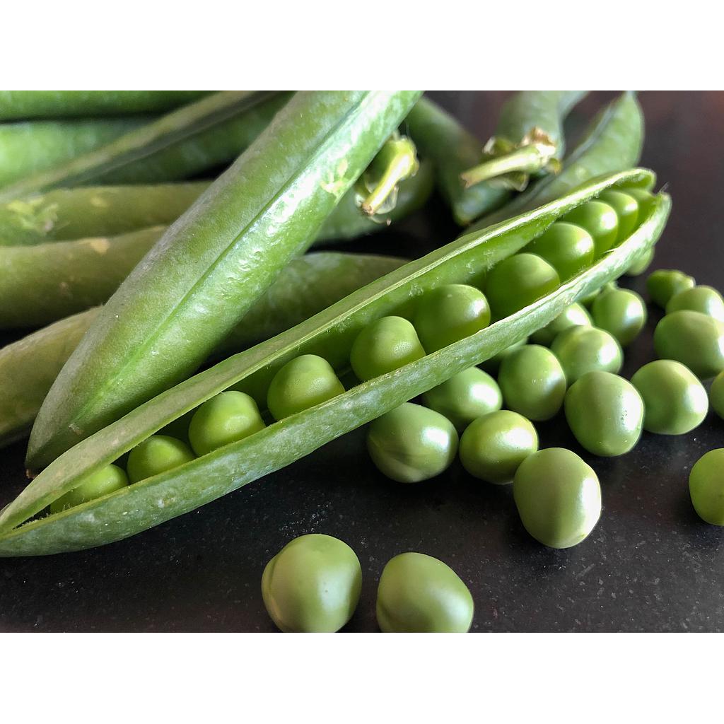 Petit pois bio