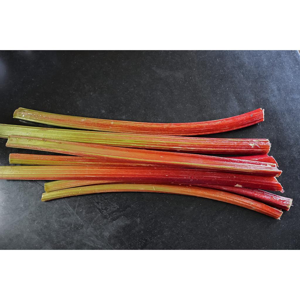 Rhubarbe